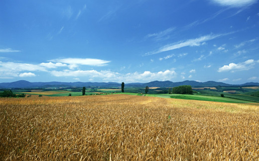 448439 (a): :1440x900